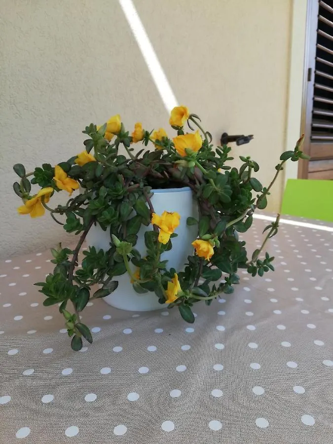 Piccola Stella Appartement San Vito Lo Capo